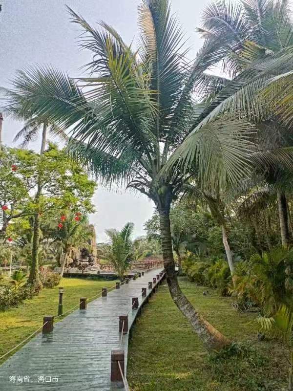 ok138电子官方网站