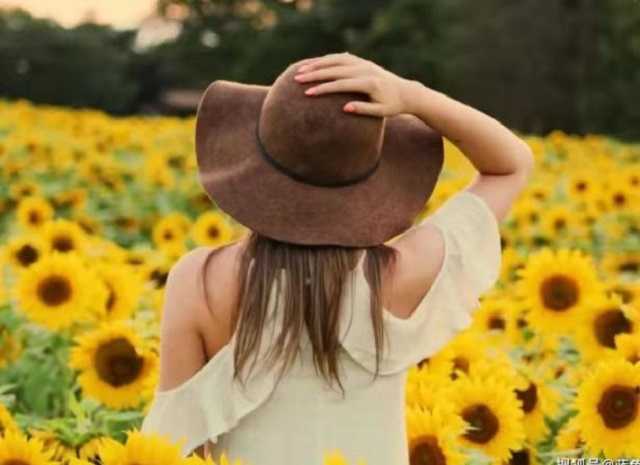 ok138电子官方网站