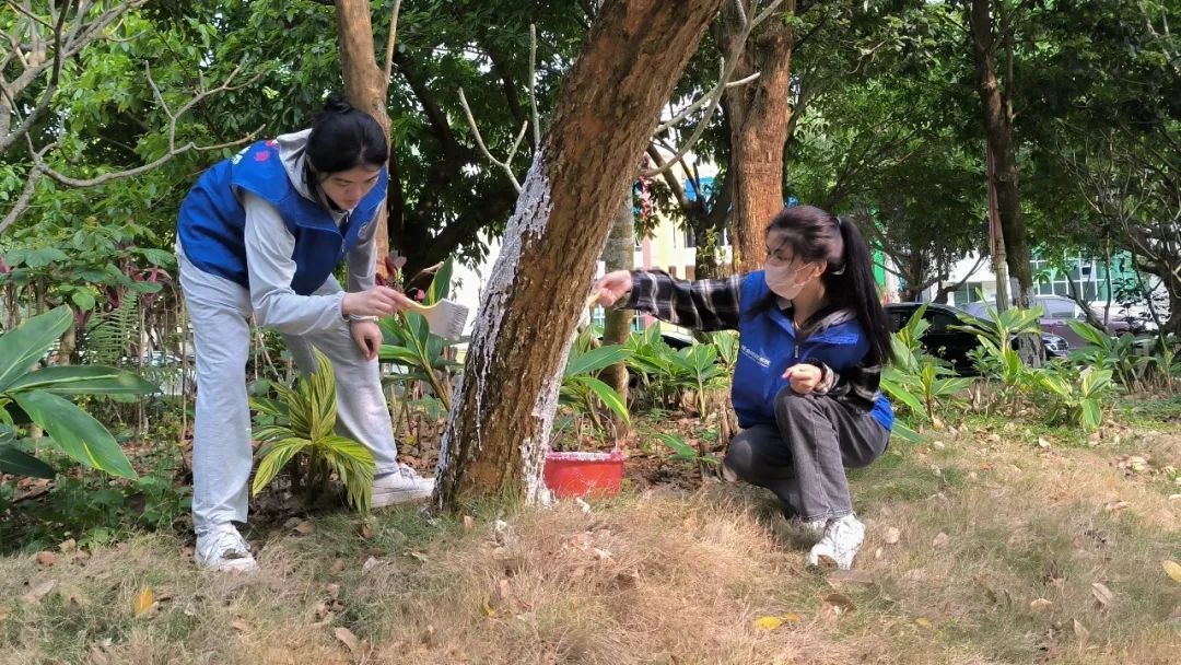 ok138电子官方网站