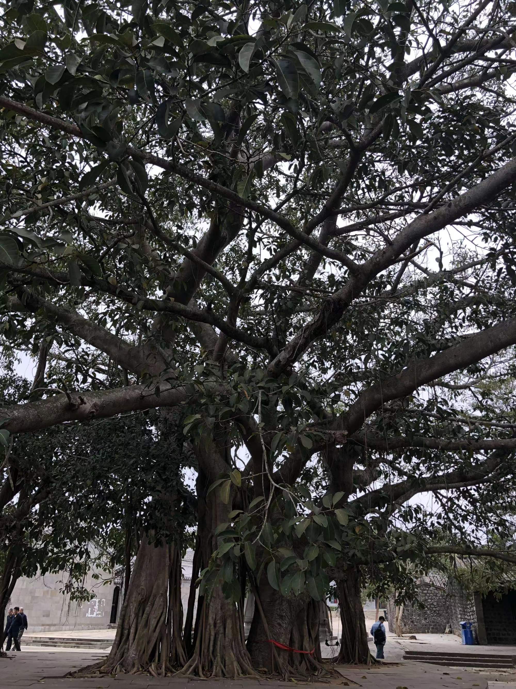 ok138电子官方网站