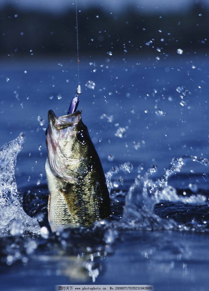 ok138电子官方网站