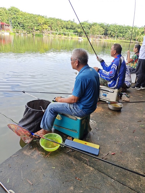 ok138电子官方网站